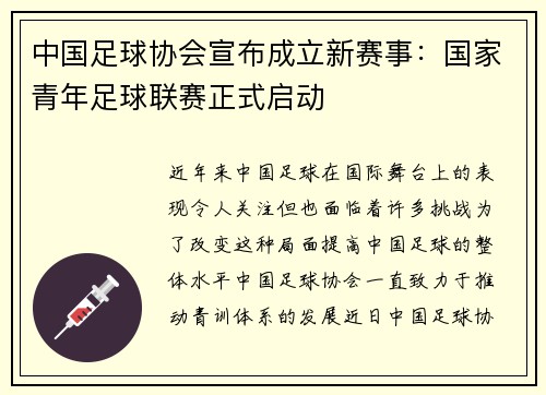 中国足球协会宣布成立新赛事：国家青年足球联赛正式启动