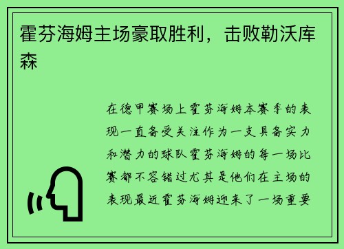 霍芬海姆主场豪取胜利，击败勒沃库森